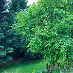 Appartement Rhoen-auszeit